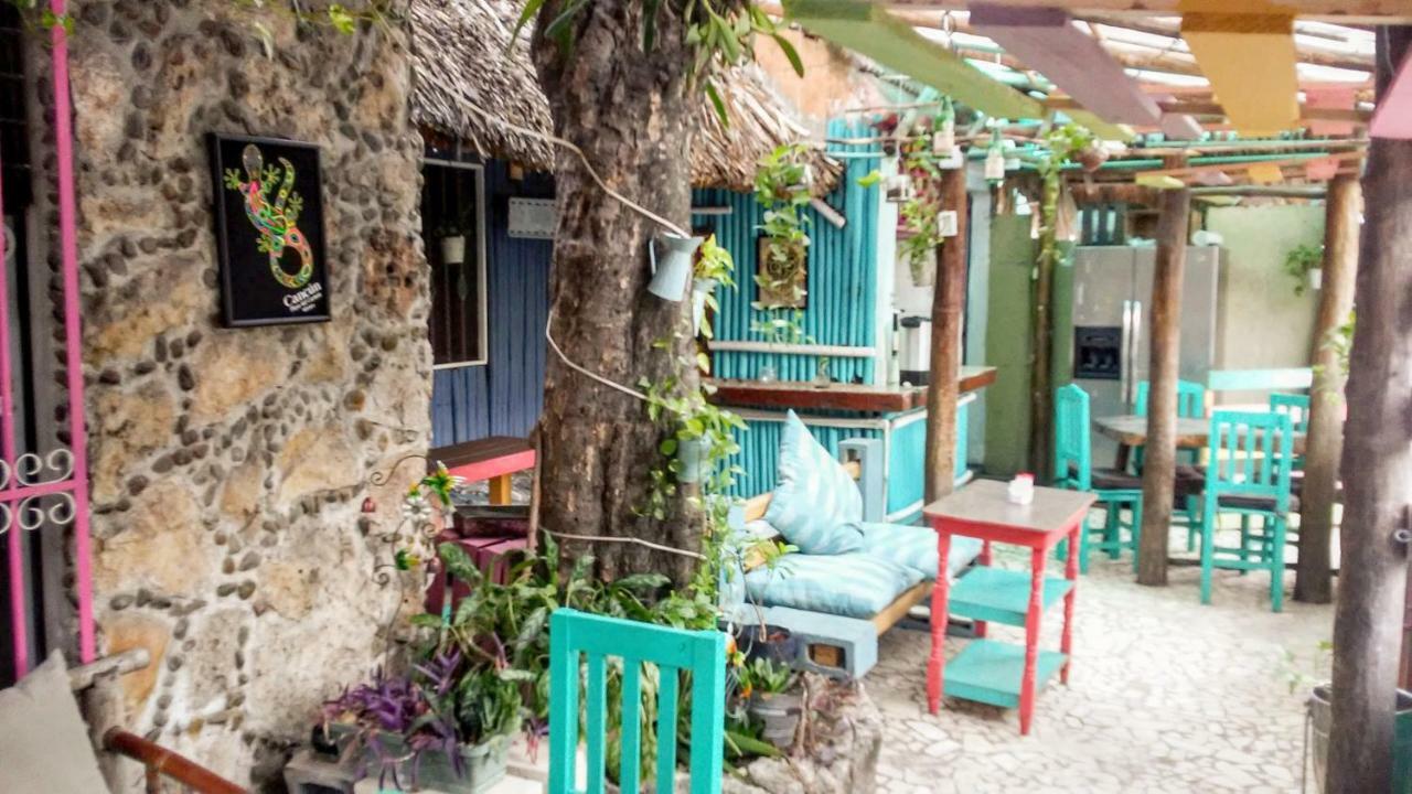 Maya Cha'An Guesthouse Κανκούν Εξωτερικό φωτογραφία